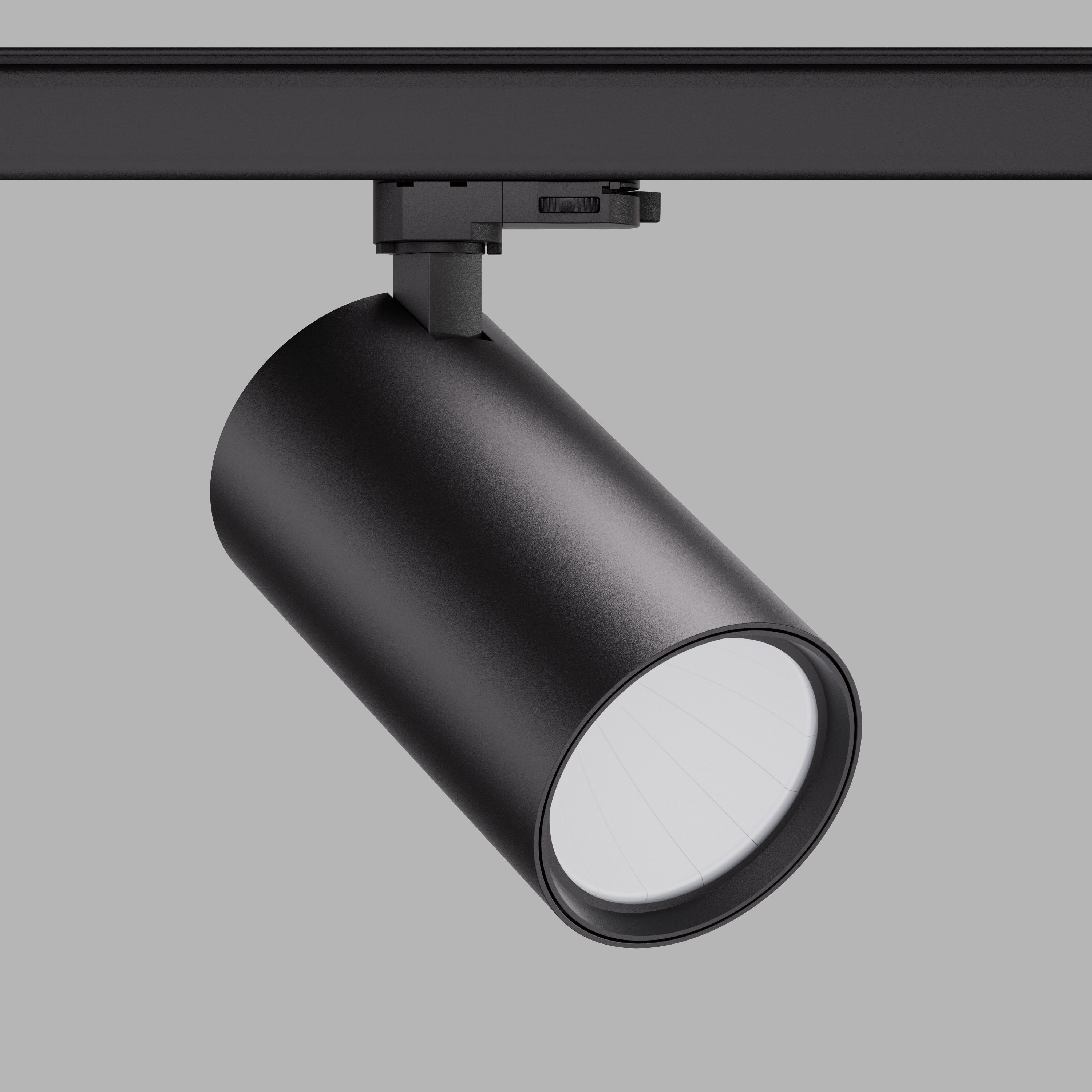 W2095H Reflector+Long Lamp Body: No-Dim, Track Dim